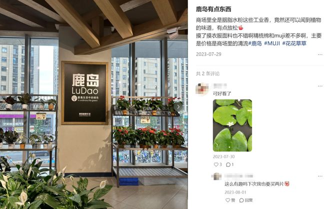 “内衣折后10块、80元lululemon平替”，北京打工人在「丐版优衣库」找到逛东北大集的爽感