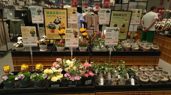 “内衣折后10块、80元lululemon平替”，北京打工人在「丐版优衣库」找到逛东北大集的爽感