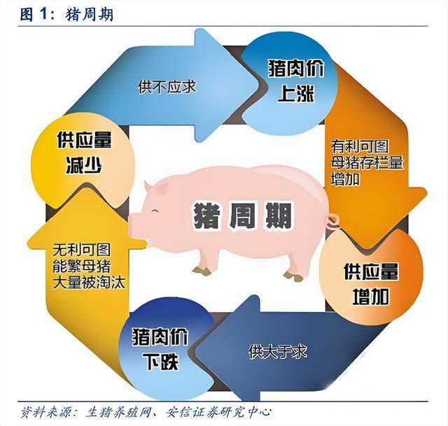 史上最强生猪调控，老百姓吃便宜猪肉的时间不多了？