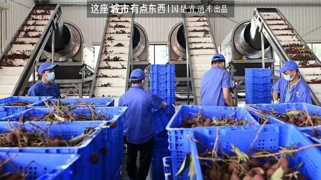 “荔枝自由”背后，是一个“千年难题”的解决丨这座城市有点东西