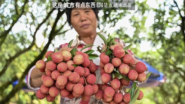 “荔枝自由”背后，是一个“千年难题”的解决丨这座城市有点东西