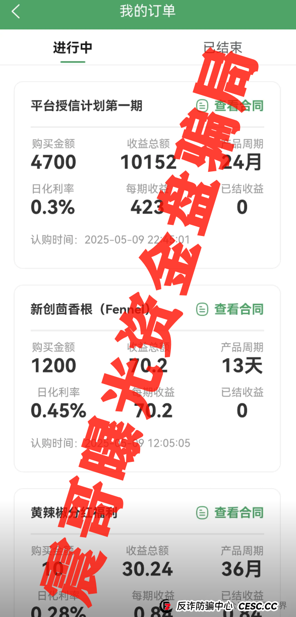 新创人SCEA最新骗局起底！震哥血泪警告：韭菜们快跑！